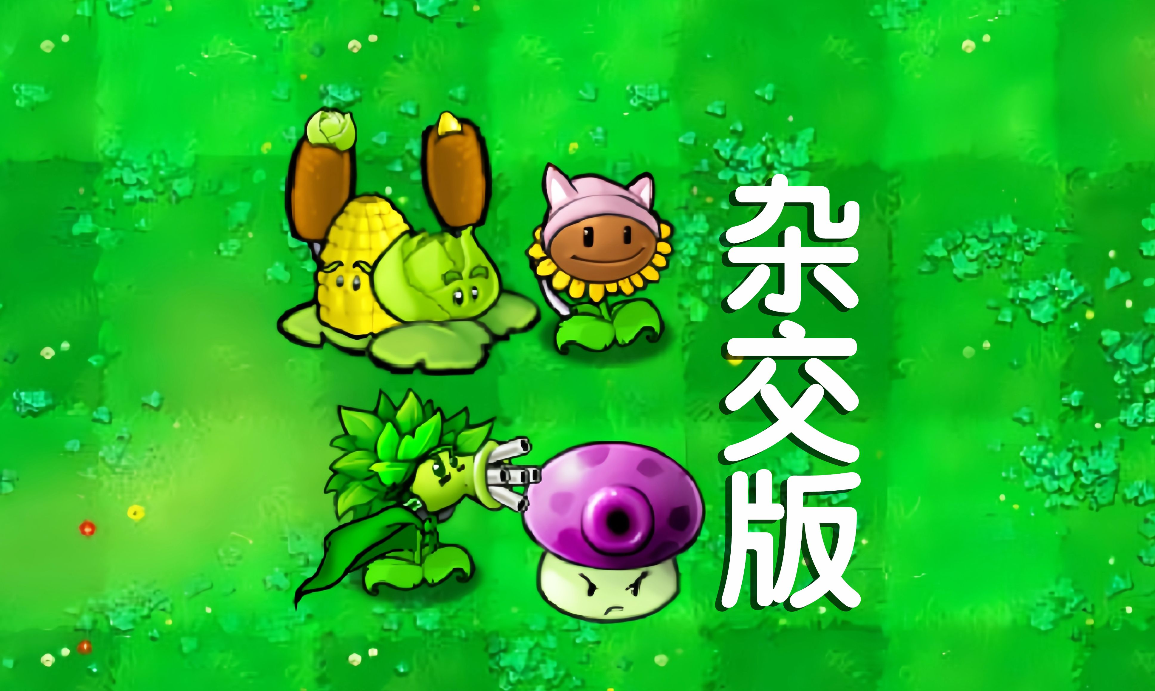 向日葵还能跟小猫咪杂交?植物大战僵尸杂交版