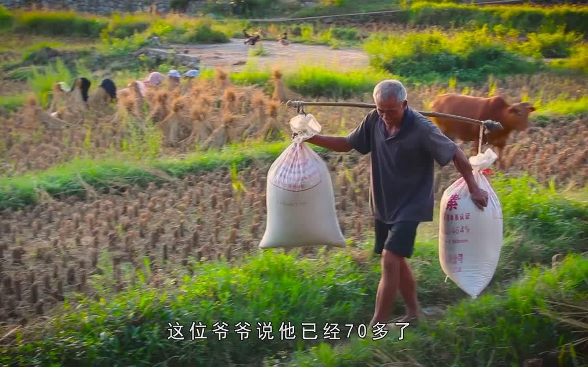 [图]10月是农民最辛苦的一个月，也是最开心的一个月