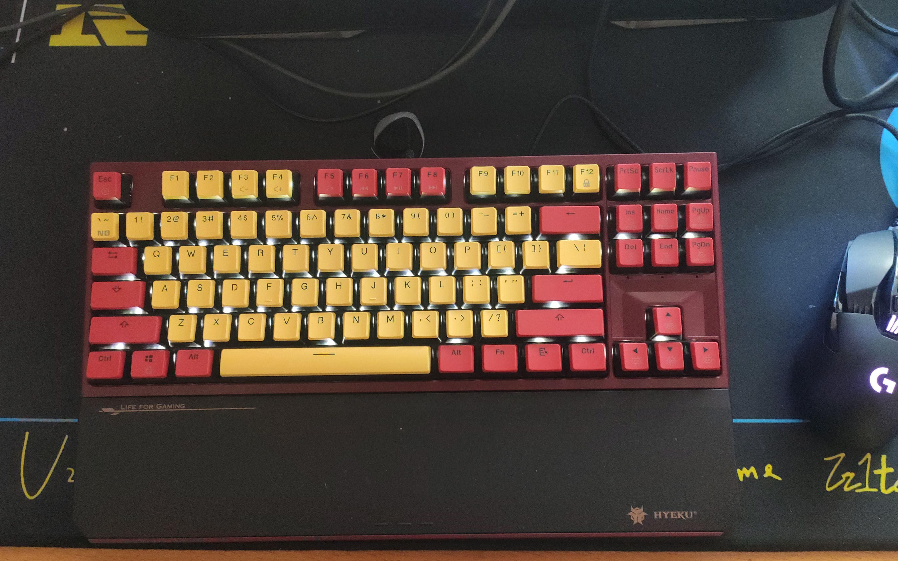 黑峡谷x3 到手了_哔哩哔哩_bilibili