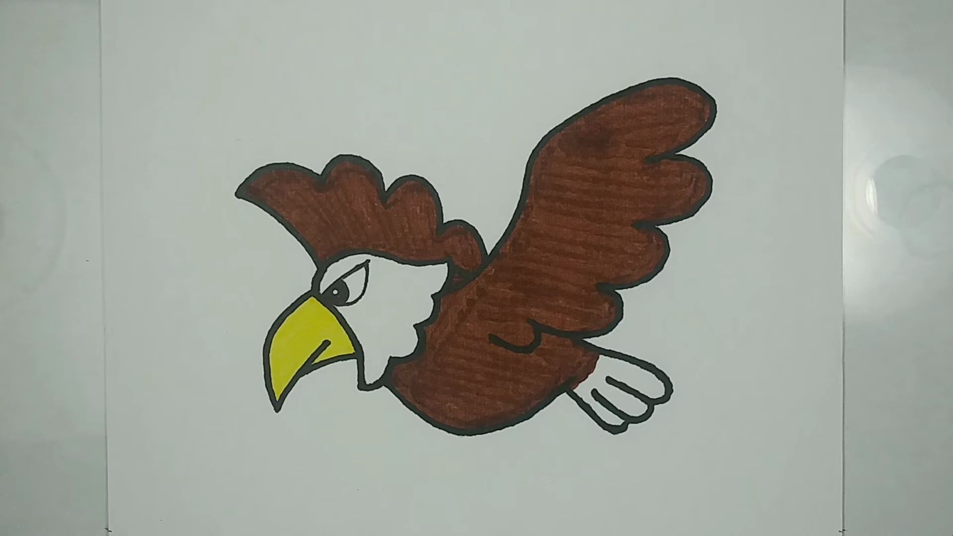 老鹰的简笔画画法图片