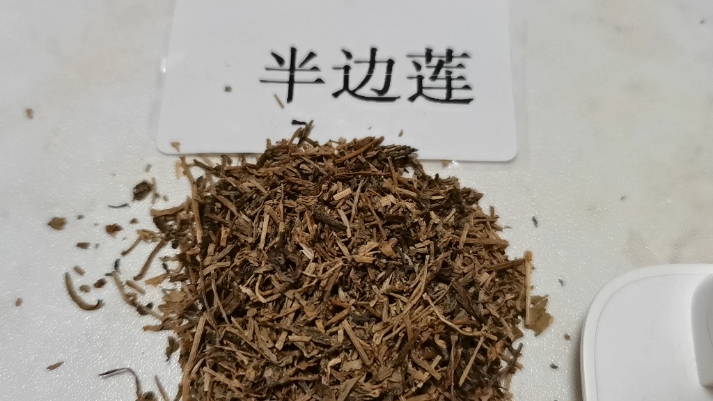 每天了解一味中药:半边莲(需在医生指导下使用)ps:无滤镜