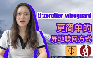 Download Video: 比 zerotier wireguard 更简单的异地联网方式