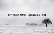 倪叶明国外返利(cashback)项目哔哩哔哩bilibili