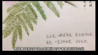 《合欢树》是一篇感人至深的散文作品。它以平淡的语调讲述了子欲养而亲不待的遗憾