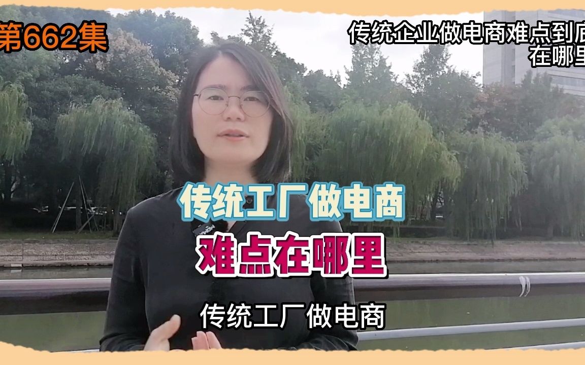 662 传统企业做电商难点到底在哪里哔哩哔哩bilibili