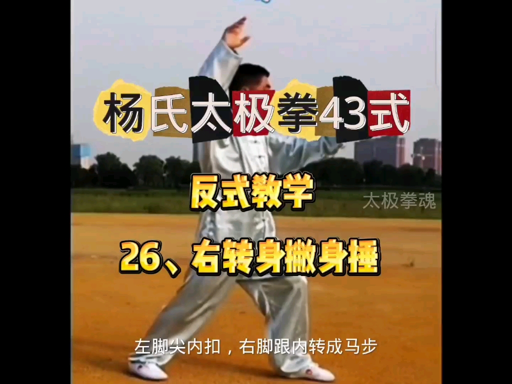 关于沙式太极拳43式视频的信息 关于沙式太极拳43式视频的信息（沙式43太极拳教学） 太极拳