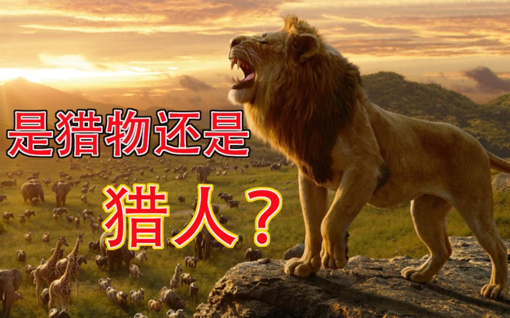 荒野猎人非洲篇高超的猎人往往以猎物的形式出现