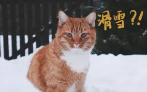 Télécharger la video: 德奥边境滑雪 | 一群南方孩纸的原始四肢行为录