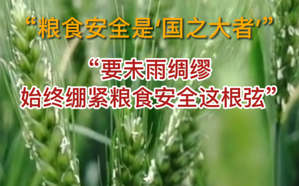 [图]粮食生产再有底气也扛不住“舌尖上的浪费”，节约粮食，从你我做起