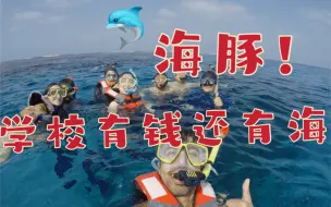 Download Video: 出海浮潜｜薅资本主义的羊毛 免费的新生秋游！这次真的有水下画面了还有好多海豚