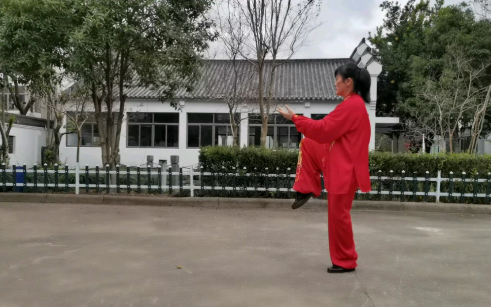 24式太极拳背面演练-许奶君