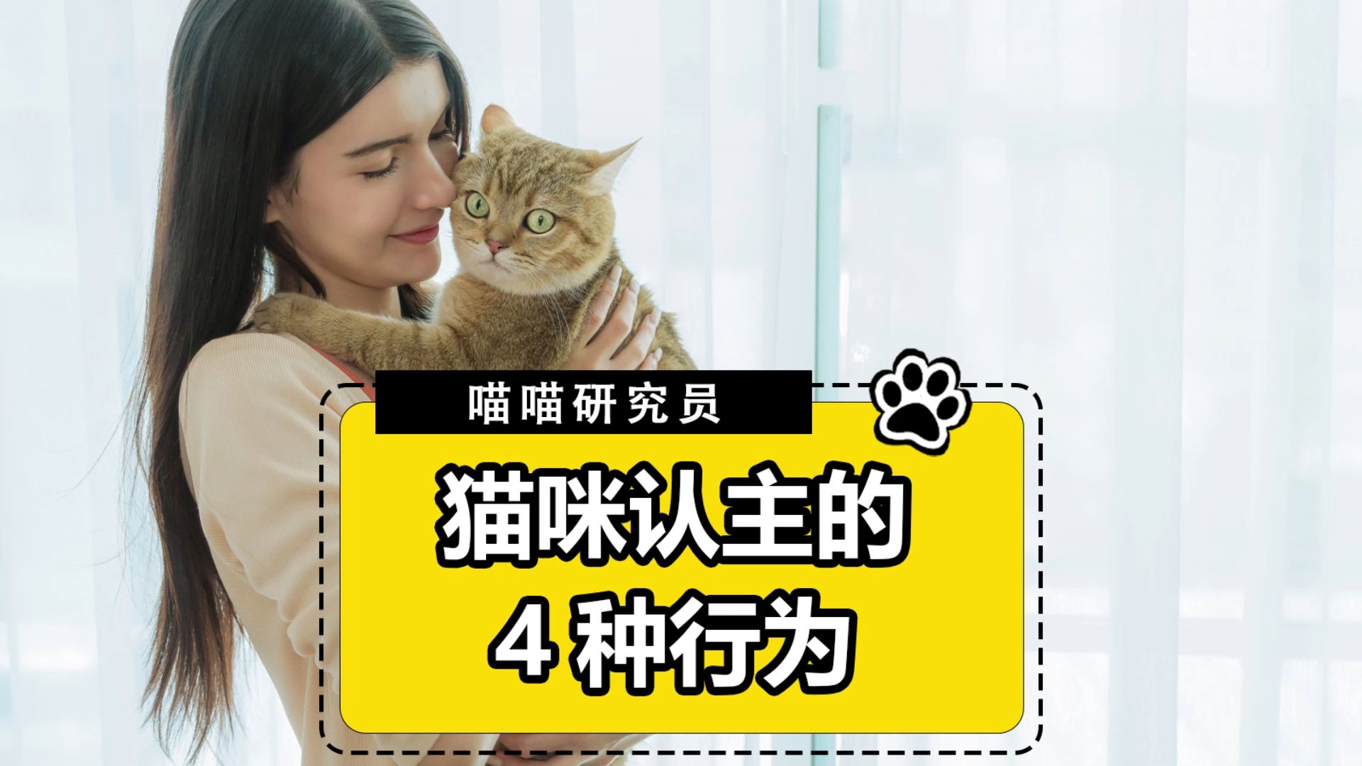 猫咪认主的4种行为,你家猫有吗?哔哩哔哩bilibili