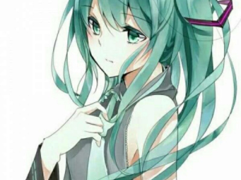 初音壁纸哔哩哔哩bilibili