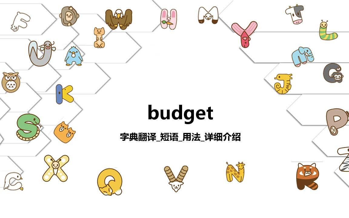 【budget】字典翻译时态短语用法详细介绍哔哩哔哩bilibili