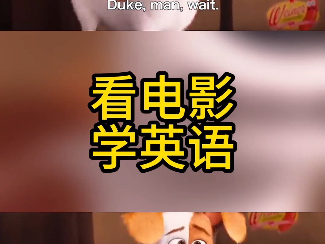 看电影学英语之爱宠大机密06集