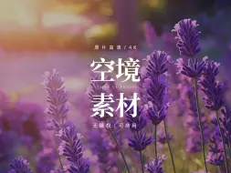 Download Video: 【免版权空镜】花朵绿植植物微风视频素材