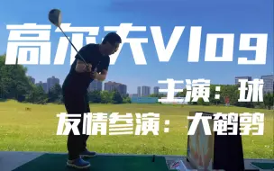 Download Video: 前两天去打高尔夫了。——东北大鹌鹑