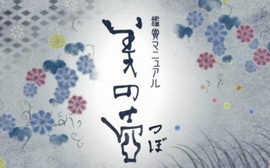 [图]【综艺】NHK美之壶系列片 [35集]超清1080p 介绍生活中各种隐藏之美的艺术鉴赏节目 中日双语字幕