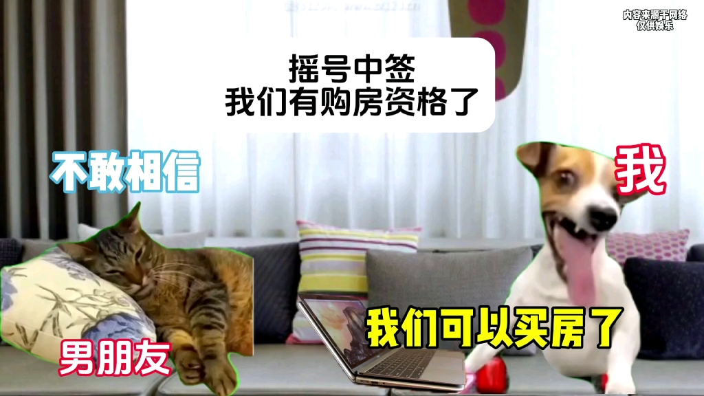 关于猫meme摇号中签买房子这件事.哔哩哔哩bilibili