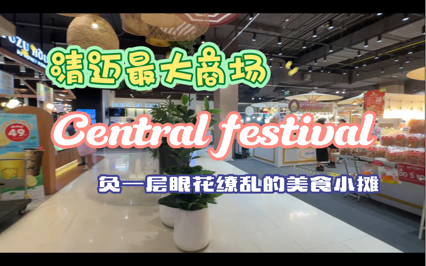 泰国清迈绝味美食藏匿于商场:centralfestival负一层必吃小摊哔哩哔哩bilibili