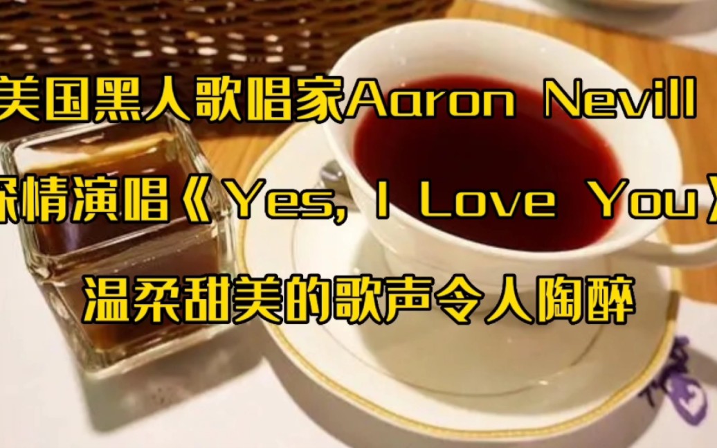 [图]来自美国著名歌唱家Aaron Nevill的深情演唱《Yes I Love You》