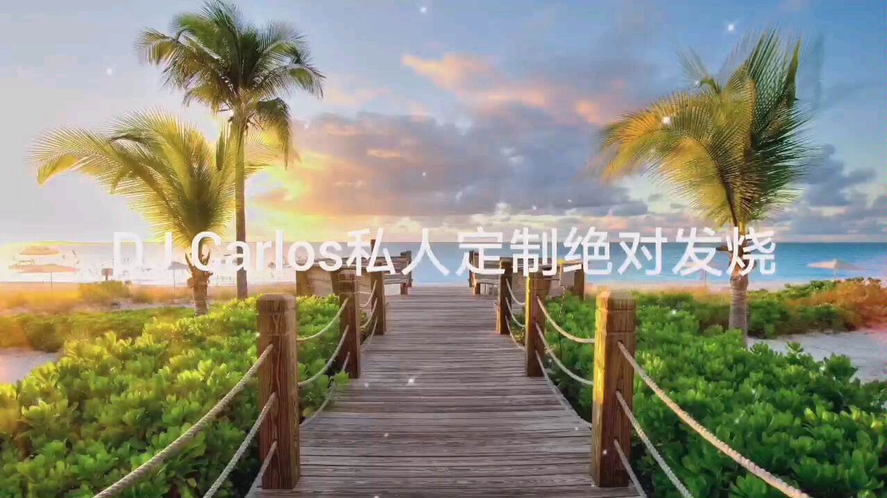 [图]DJ Carlos 2020私人定制绝对发烧CD HiFi女声…