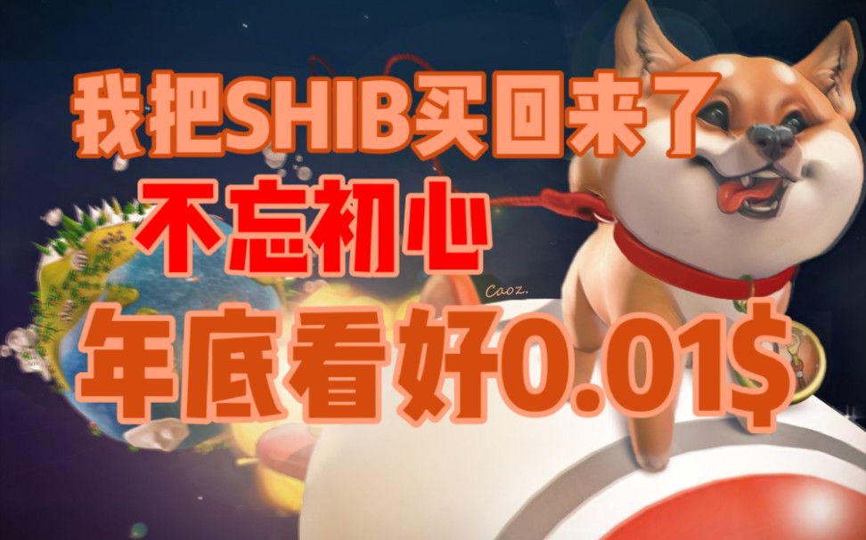 纪念第一次在币圈赚到钱我把shib买回来了年底看好001shibtothemoon