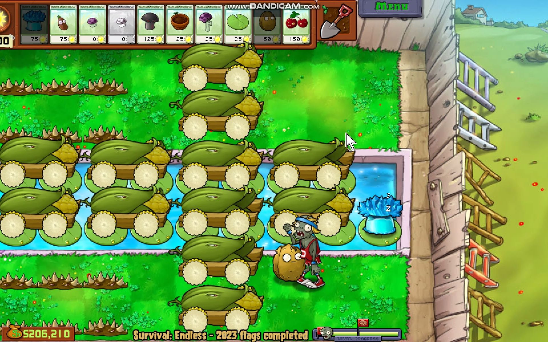 pvz键控炮阵考级--2级--pe 单紫卡十二炮