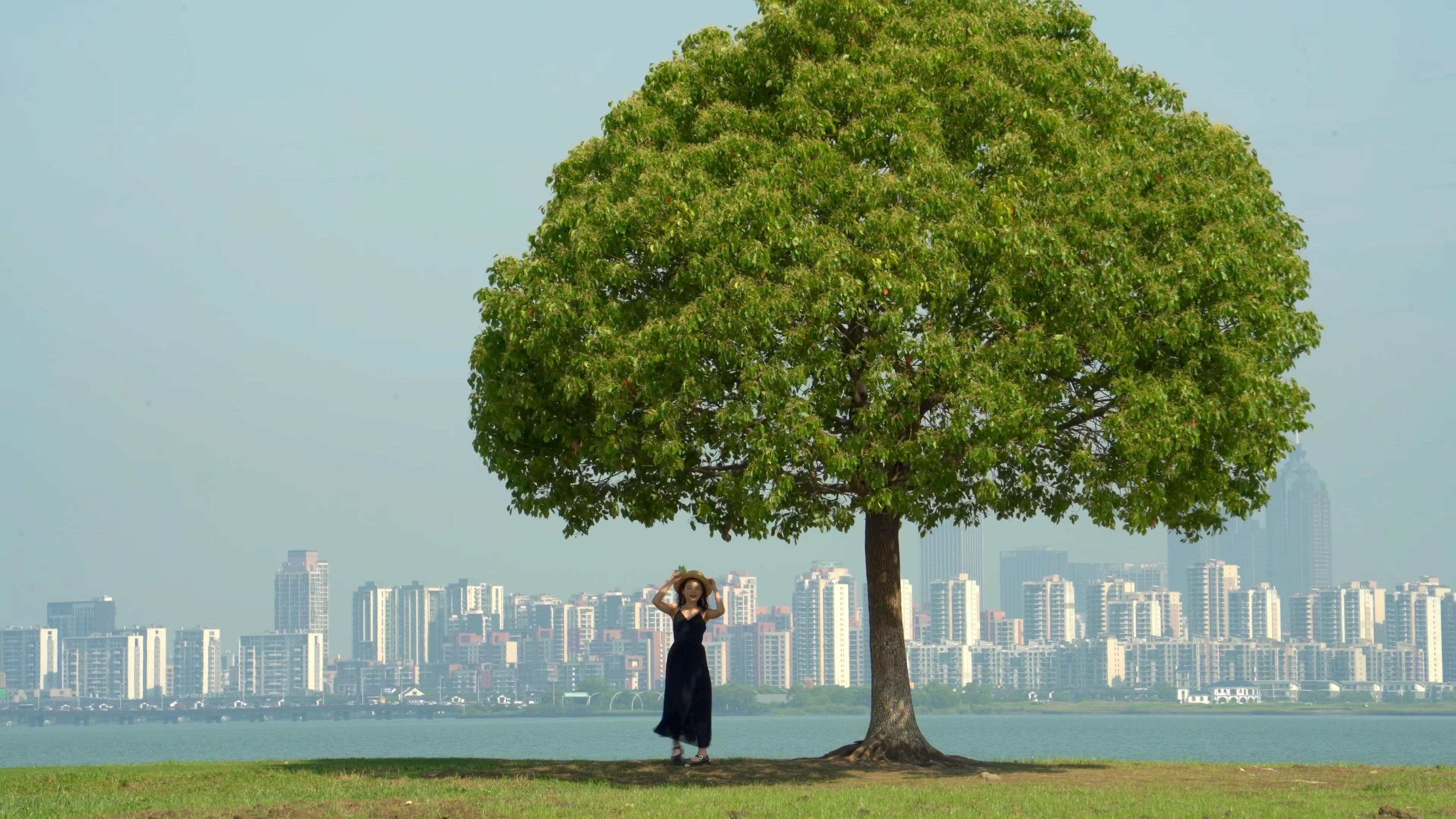 独墅湖一棵树|杜比视界测试