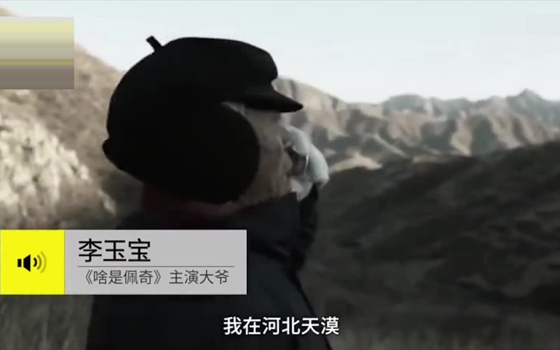 《啥是佩奇》刷屏,可主演大爷更火,他是谁?他在哪?为什么是他?哔哩哔哩bilibili