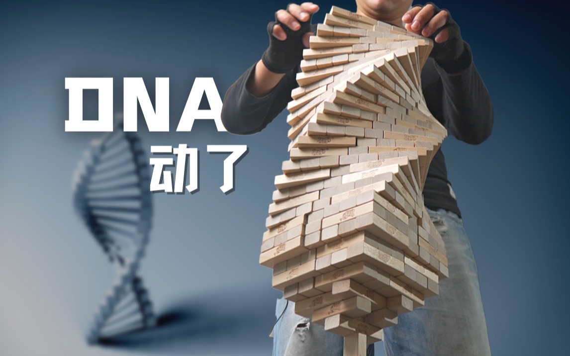 史上最离谱的一次积木挑战转盘一响是你的dna动了吗