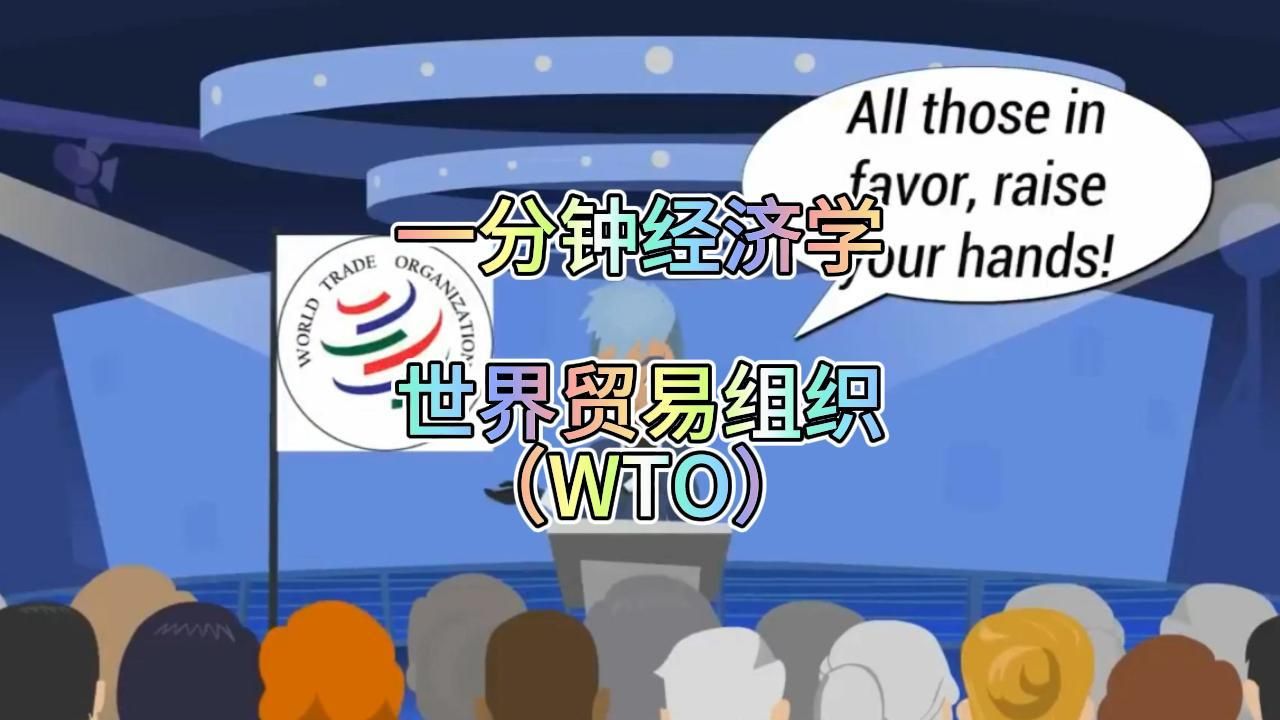 一分钟经济学 世界贸易组织(WTO)哔哩哔哩bilibili