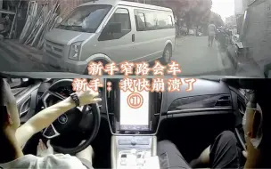 下载视频: 新手窄路会车，新手：我快崩溃了①