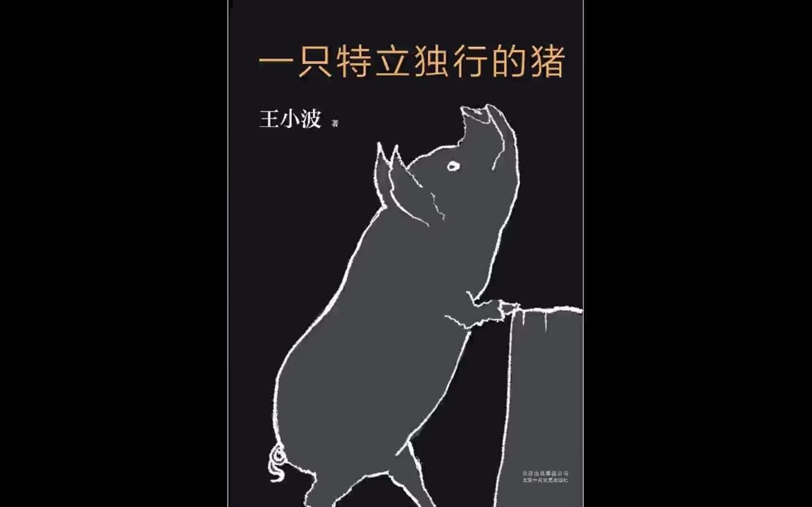 【有声书】王小波 杂文集《一只特立独行的猪》全本哔哩哔哩bilibili