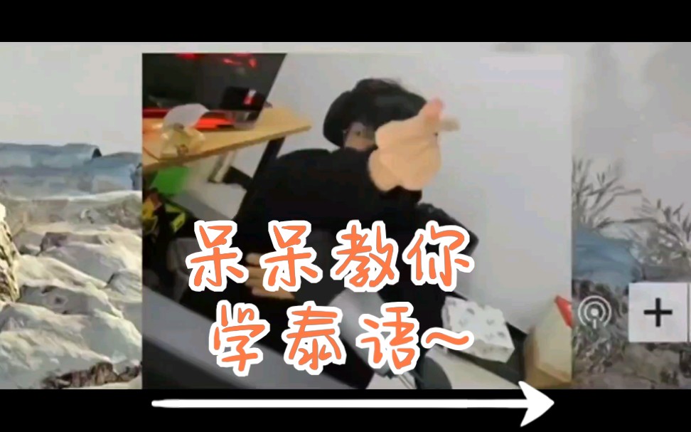 【KB呆又呆】呆呆教你学泰语‖真ⷥ�𙠨熩⑥“”哩哔哩bilibili