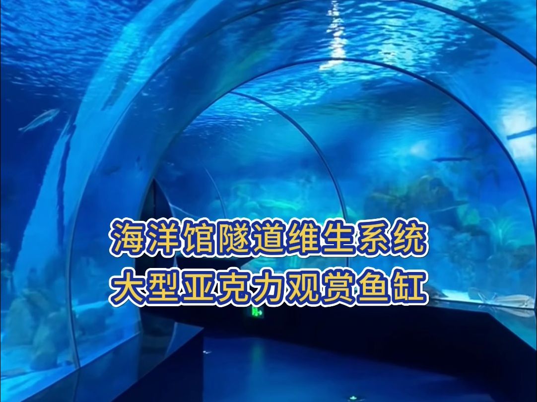 海洋馆隧道维生设计 大型亚克力鱼缸 大型鱼缸 亚克力鱼缸定制哔哩哔哩bilibili