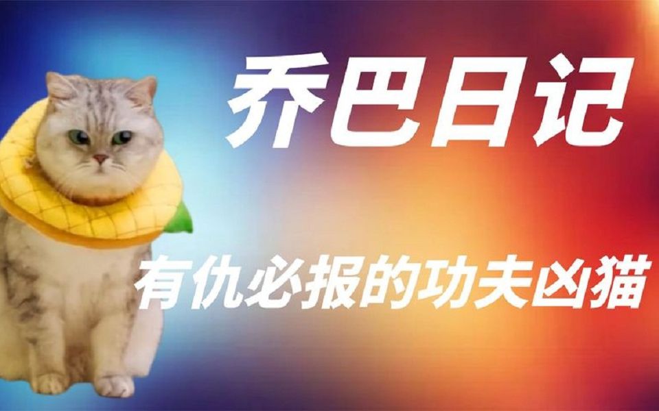 [图]乔巴日记：功夫凶猫，有仇必报的猫咪，铁头破砖金刚腿踹墙。