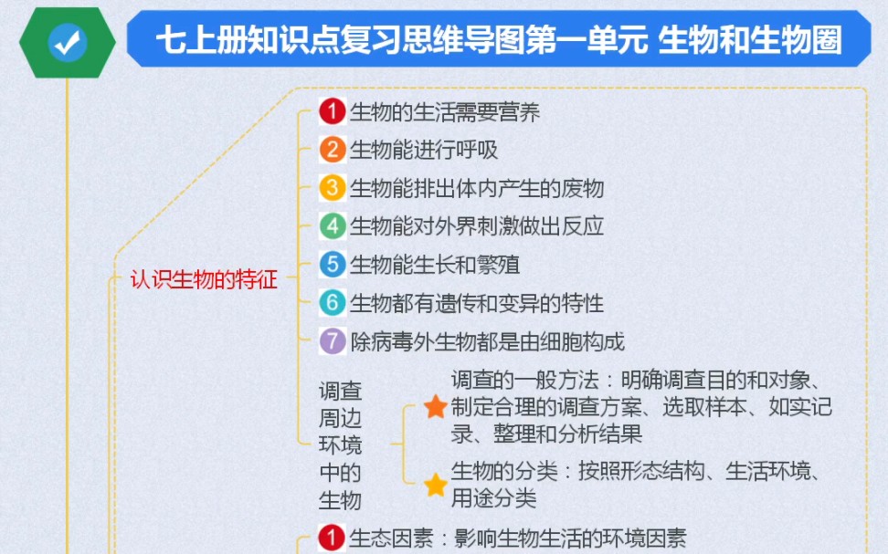 七上生物学思维导图图片