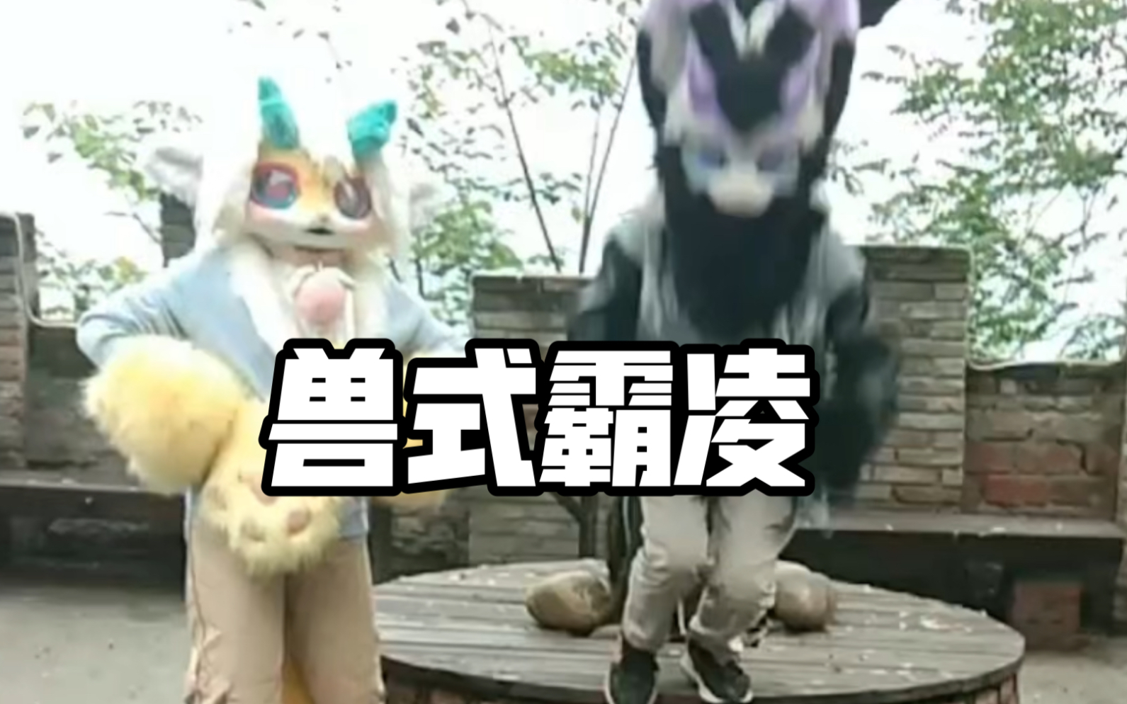 [图]【兽装/fursuit】兽式霸凌（但是马仔很拉垮版）