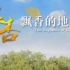 2016年泰兴形象宣传片《银杏飘香的地方》 超清(720P)