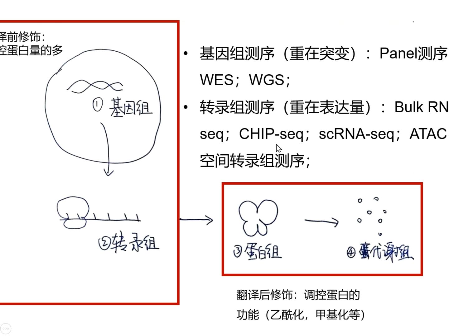 组学种类介绍哔哩哔哩bilibili