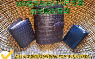 Video herunterladen: 我为什么要同时定制M5宽版跟A6FC尺寸活页--聊聊M5与A6FC活页的互动