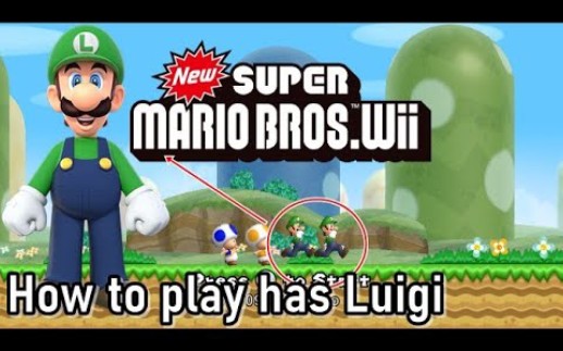 [图]How to play has Luigi in NSMBW