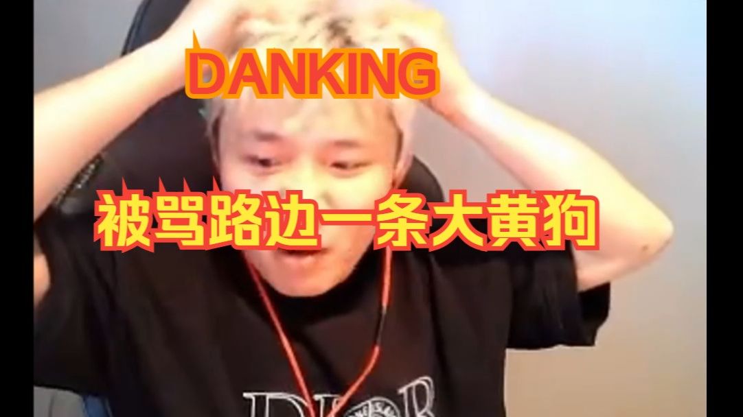 DANKING被骂像路边一条大黄狗网络游戏热门视频