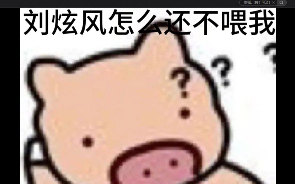 [图]关于我在B站做花猪这件事