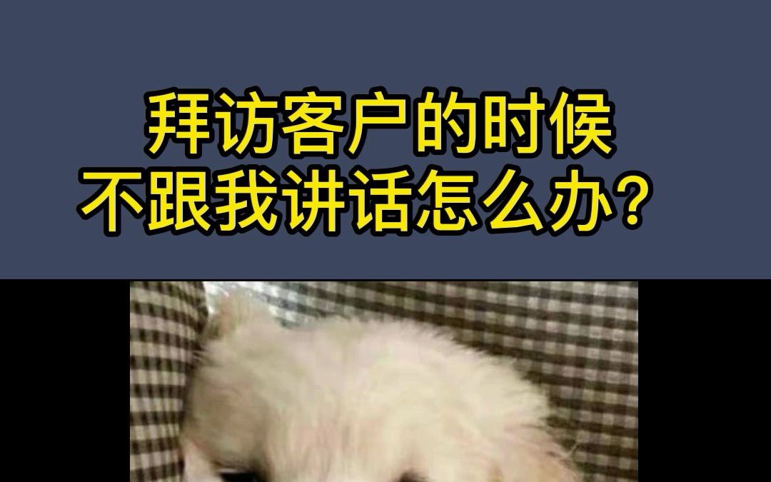 拜访客户的时候,不跟我讲话怎么办?哔哩哔哩bilibili