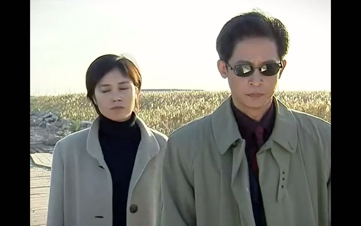 55分钟一口气看完《黑冰》豆瓣高分 王志文老师经典禁毒 剧完整版