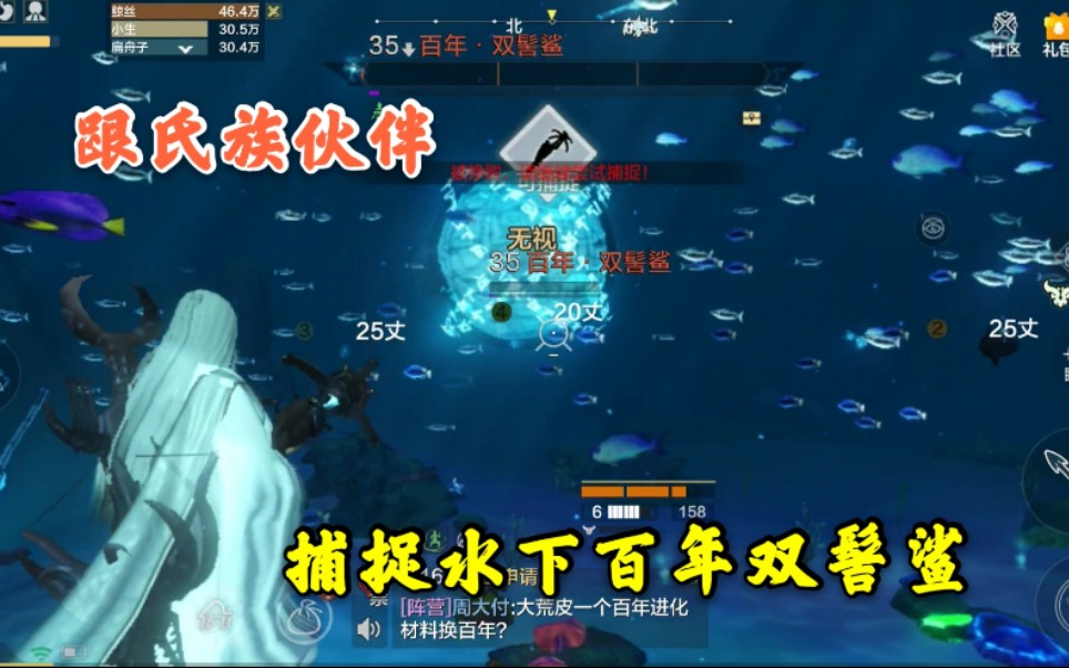 zb小生《妄想山海》跟氏族小伙伴捕捉水中百年坐骑双髻鲨.