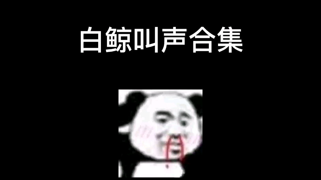 白鲸叫声合集哔哩哔哩bilibili