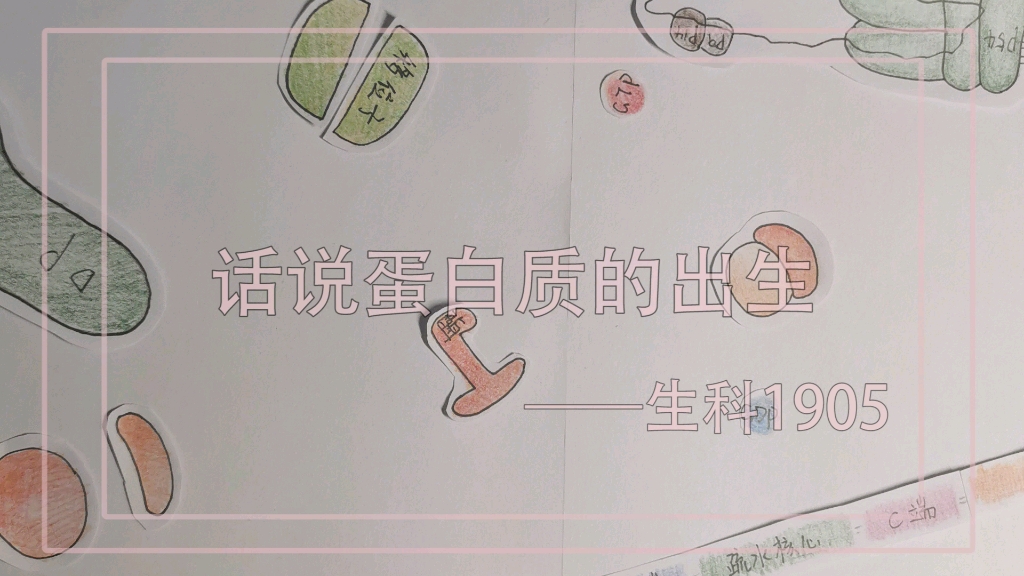 【细胞生物学】创意课堂,蛋白质分选.哔哩哔哩bilibili